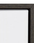 Lion Framed Canvas Wall Art - From Where -