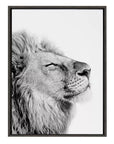 Lion Framed Canvas Wall Art - From Where -