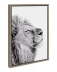 Lion Framed Canvas Wall Art - From Where -