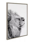 Lion Framed Canvas Wall Art - From Where -