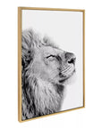 Lion Framed Canvas Wall Art - From Where -