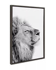 Lion Framed Canvas Wall Art - From Where -