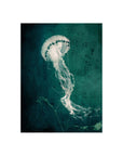 Marine Collection V Graphic Art - From Where -