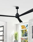 Matte Black Industrial Ceiling Fan - From Where -