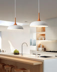 Modern Pendant Light Fixtures - From Where -