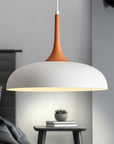 Modern Pendant Light Fixtures - From Where -