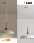 Modern Pendant Light Fixtures - From Where -