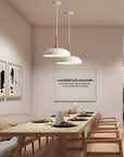 Modern Pendant Light Fixtures - From Where -