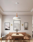 Modern Pendant Light Fixtures - From Where -