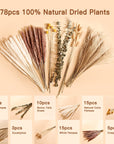 Natural Dried Pampas Grass Bouquet Home Decor - From Where -