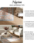 Non Shedding Terracotta Area Rug - From Where -