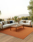 Non Shedding Terracotta Area Rug - From Where -