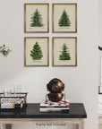 Norway Spruce Scotch Pine Gallery Wall - From Where -
