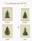 Norway Spruce Scotch Pine Gallery Wall - From Where -