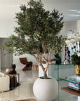 Olive Tree in 30" Globe Planter - From Where -
