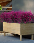 Outdoor Artificial Stem Plants - From Where -