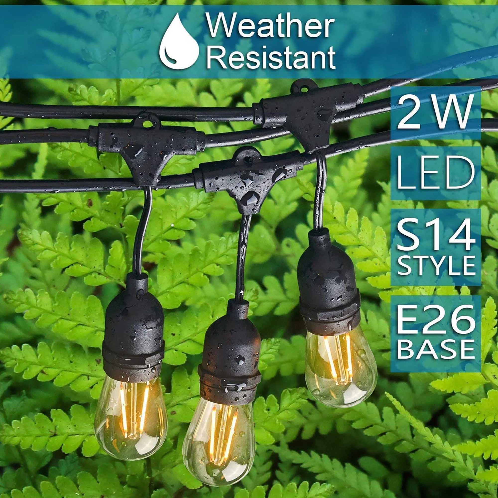 Outdoor String Lights - From Where -