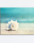 Paradise Seashell Canvas Wall Art - From Where -