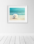 Paradise Seashell Canvas Wall Art - From Where -