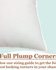 Pillowflex Plush Pillow Insert - From Where -