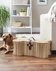 Plastic Wicker Pet Toy Storage Basket - From Where -