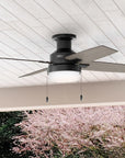 Port Haven 44" Outdoor Ceiling Fan - From Where -