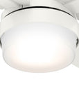 Port Haven 44" Outdoor Ceiling Fan - From Where -