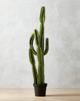 Potted Faux Cardón Cactus 5' - From Where -