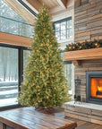 Pre - Lit Tiffany Fir Slim Tree - From Where -