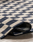 Rasali Checkered Box Rug - From Where Finds -