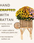 Rattan Indoor Plant Stand - From Where -