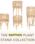 Rattan Indoor Plant Stand - From Where -