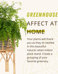 Rattan Indoor Plant Stand - From Where -