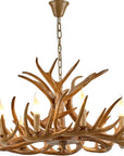 Resin Antler Ceiling Light Fixtures - From Where -
