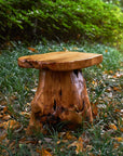 Rustic Cedar Stump End Table - From Where -