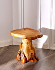Rustic Cedar Stump End Table - From Where -