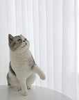 Sheer White Curtains 84 Inches - From Where -