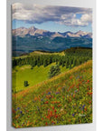Shrine Pass Holy Cross Portrait - From Where -