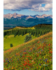 Shrine Pass Holy Cross Portrait - From Where -
