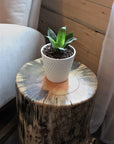 Side Table (16 Inches,Indoor Finish) - From Where -