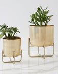 Spun Metal Tabletop Planters - From Where -