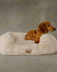 The Lola Pet Bed | Bondi Beige - From Where Finds -