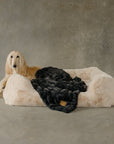 The Lola Pet Bed | Bondi Beige - From Where Finds -