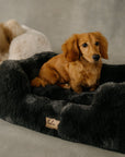 The Lola Pet Bed | Charcoal Grey - From Where Finds -