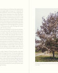 The Nature of Oaks: The Rich Ecology of Our Most Essential Native Trees - From Where -