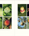 The Nature of Oaks: The Rich Ecology of Our Most Essential Native Trees - From Where -