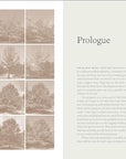 The Nature of Oaks: The Rich Ecology of Our Most Essential Native Trees - From Where -