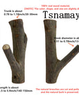 Tree Branch Wall Hook (Set of 8) - From Where -
