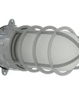 Vapor Ceiling/Wall Mount Flood Light - From Where -