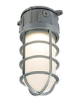 Vapor Ceiling/Wall Mount Flood Light - From Where -